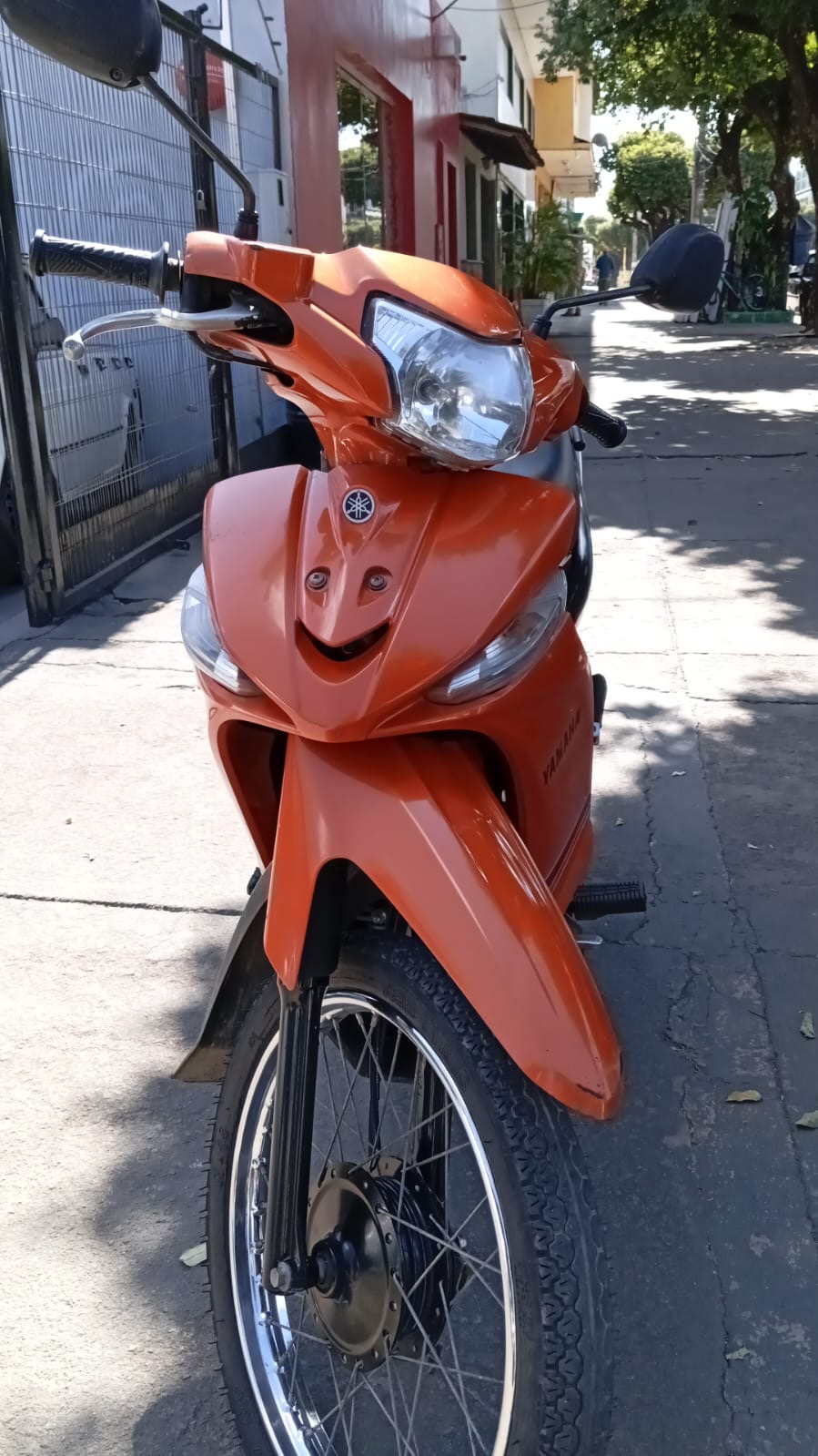 493cf30c-bc7e-4b4e-b20b-1535fd066416